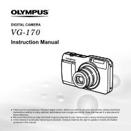 VG-170 Instruction Manual