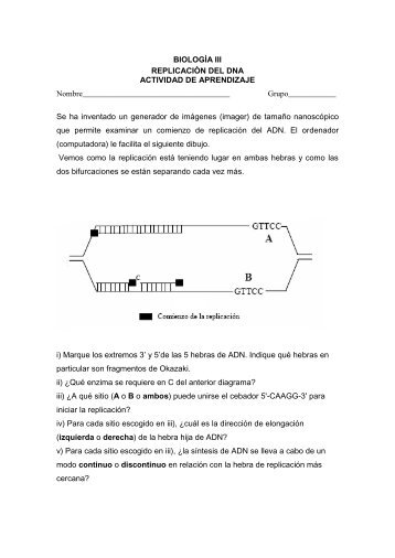 Ejercicio ReplicaciÃ³n 3 2012.pdf