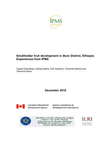 Smallholder fruit development in Bure District,Ethiopia - IPMS ...