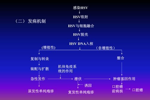 å£èé»èææç±»ç¾ç