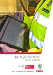 The Inspection Guide - Bureau Veritas