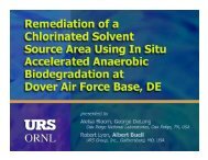 Remediation of Chlorinated Solvent Source Area Using In Situ ...