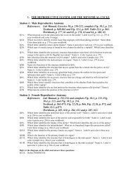 Male Reproductive Anatomy References: Lab Manual, Exercise 38, p.