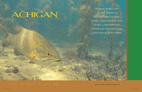 30 41 Achigan Tight Lines Fly Fishing Co
