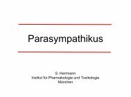 Parasympathikus - TUM