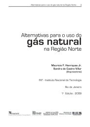 Alternativas para o uso do gás natural na Região Norte.pdf - INT