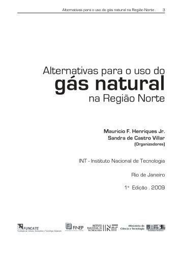 Alternativas para o uso do gás natural na Região Norte.pdf - INT