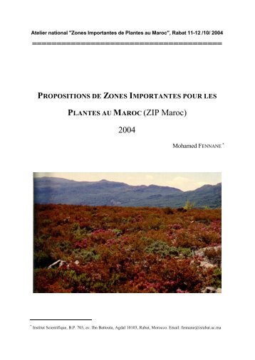 Propositions de Zones Importantes pour les Plantes au Maroc