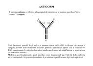 Anticorpo monoclonale - Biotecnologie