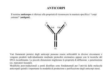 Anticorpo monoclonale - Biotecnologie