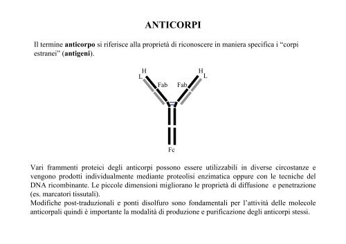 Anticorpo monoclonale - Biotecnologie