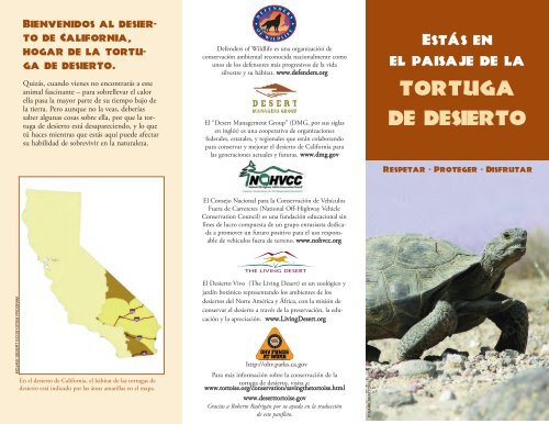 Laos Preservativo escucha tortuga del desierto alimentacion Enseñando