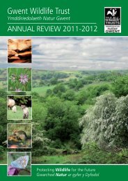 GWT Annual Report 2011-12.pdf - Gwent Wildlife Trust