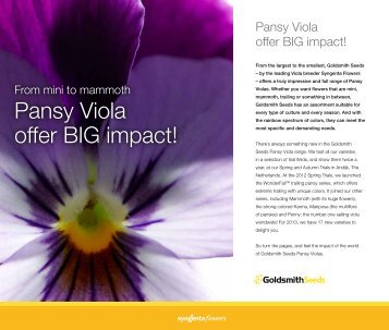 2013 Pansy-Viola Assortment