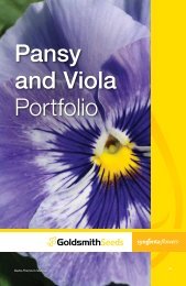 Pansy Brochure