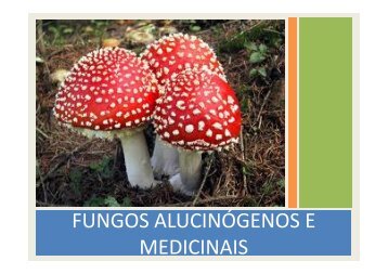 (Microsoft PowerPoint - fUNGOS - Apresenta\347\343o - atual)