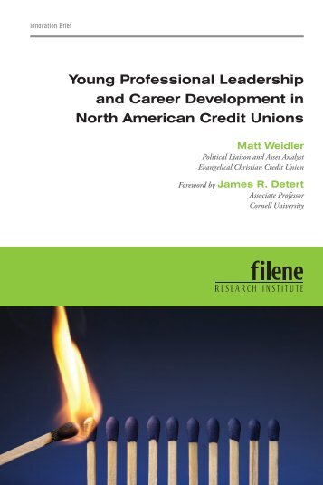 Young Professional Leadership and Career Development in North ...