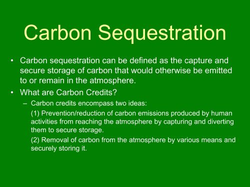 Carbon Credits