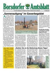 Borsdorfer Amtsblatt - T-Online