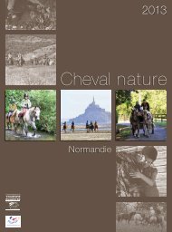 Cheval Broches Lime 820 très étroit 200 mm coup de fouet 2