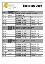 Textplan 2008 - die Apis Freudenstadt