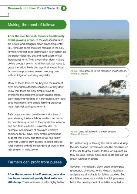Profitable pulse crops transform rice fallows RIU Pocket Guide 8