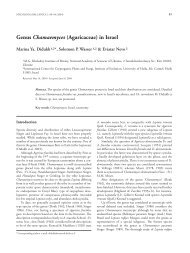 Genus Chamaemyces (Agaricaceae) in Israel - Mycologia Balcanica