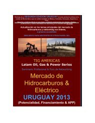 Mercado de Hidrocarburos & ElÃ©ctrico URUGUAY 2013