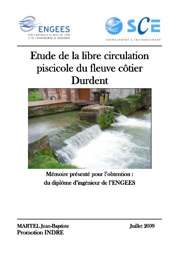 PDF (rapport) - ENGEES