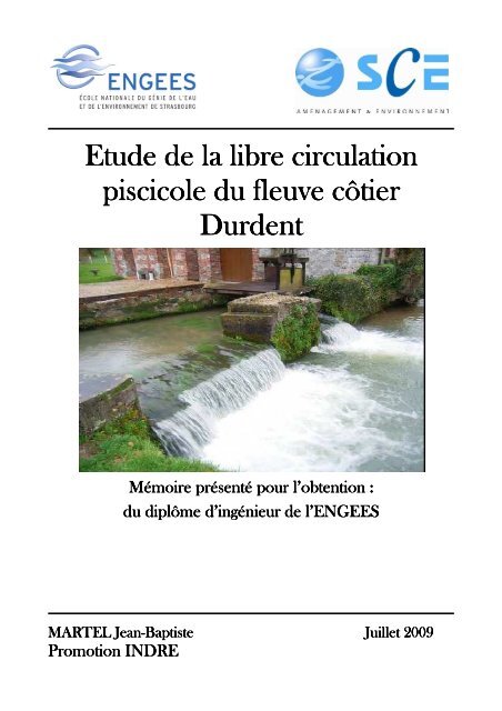PDF (rapport) - ENGEES