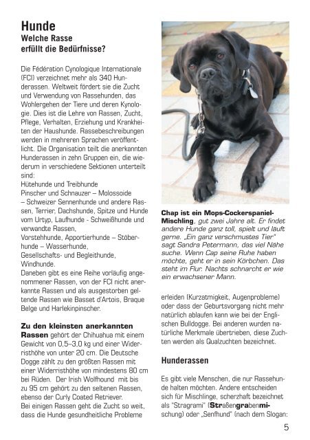 Februar 2012 - Stadtteilverein Kattenstroth