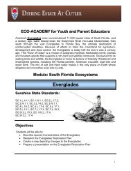 Everglades Lesson Plan - Deering Estate at Cutler