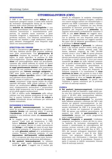 CITOMEGALOVIRUS (CMV) - Sezione di Microbiologia