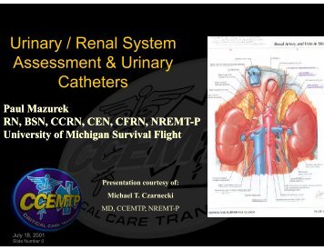 Urinary / Renal System Assessment & Urinary Catheters - UMBC ...