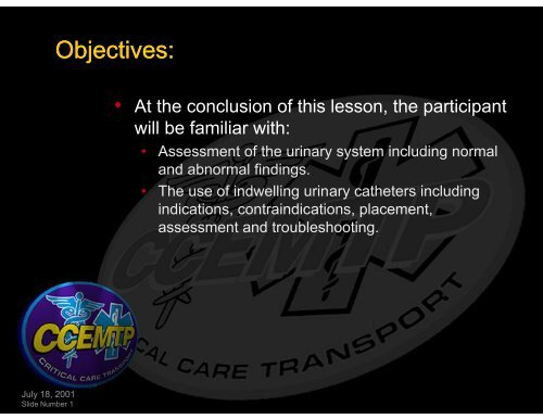 Urinary / Renal System Assessment & Urinary Catheters - UMBC ...