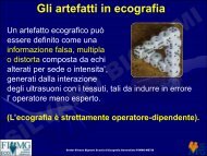 Gli Artefatti in Ecografia - Parte I - Dott. Silvano Bignami - Sito web MIEI