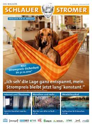 SSW_Stromer_Zeitung_2008-01.pdf - Stadtwerke St. Wendel