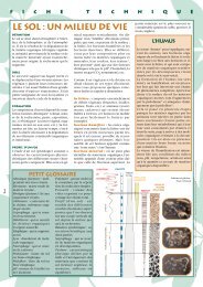 Le sol, un milieu de vie - Fondation pour la Nature et l'Homme