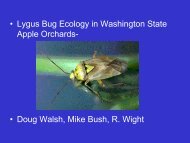 • Lygus Bug Ecology in Washington State Apple Orchards- • Doug ...