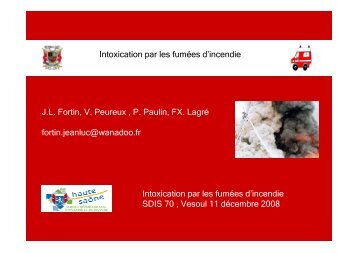 3. Intoxication par les fumÃ©es d'incendie - Vesoul 2008 - Service ...