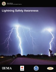 lightning fact sheet