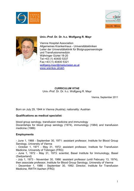 Resume summary examples picture