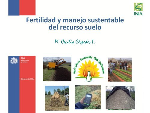 Fertilidad y manejo sustentable del recurso suelo