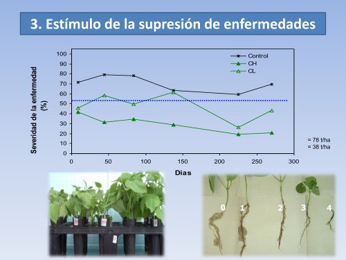 Fertilidad y manejo sustentable del recurso suelo