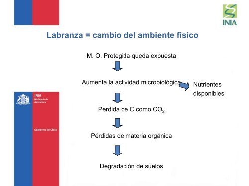 Fertilidad y manejo sustentable del recurso suelo