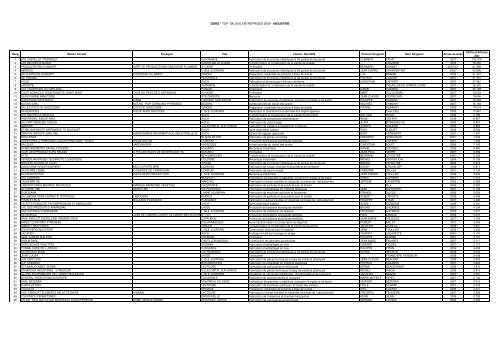 GERS - TOP 100 DES ENTREPRISES 2008 - INDUSTRIE