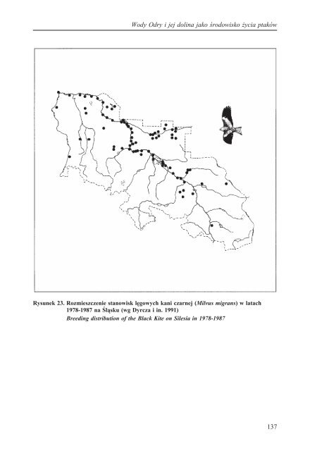 Korytarz ekologiczny doliny Odry pdf