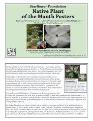 Starflower Foundation Native Plant of the Month Posters