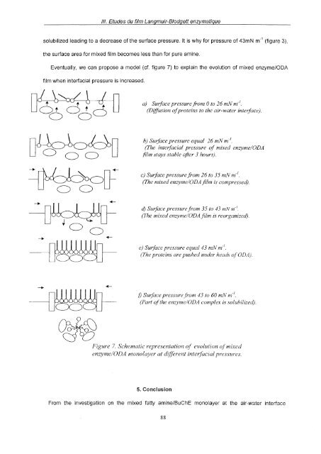 Etude de différentes méthodes de biofonctionnalisation pour la ...