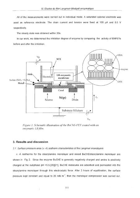 Etude de différentes méthodes de biofonctionnalisation pour la ...